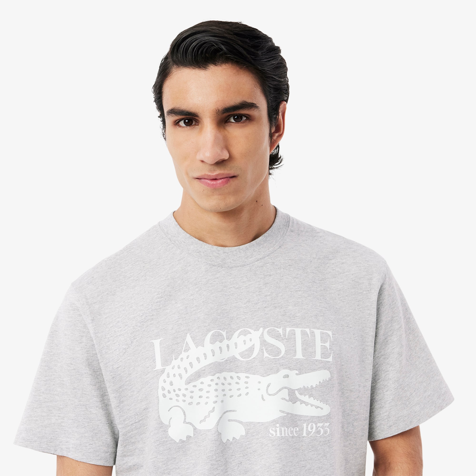 【送料&関税込】Lacoste Classic T-shirt Men's Classic Fit Cotton Print T-Shirt - T-shirts - New In