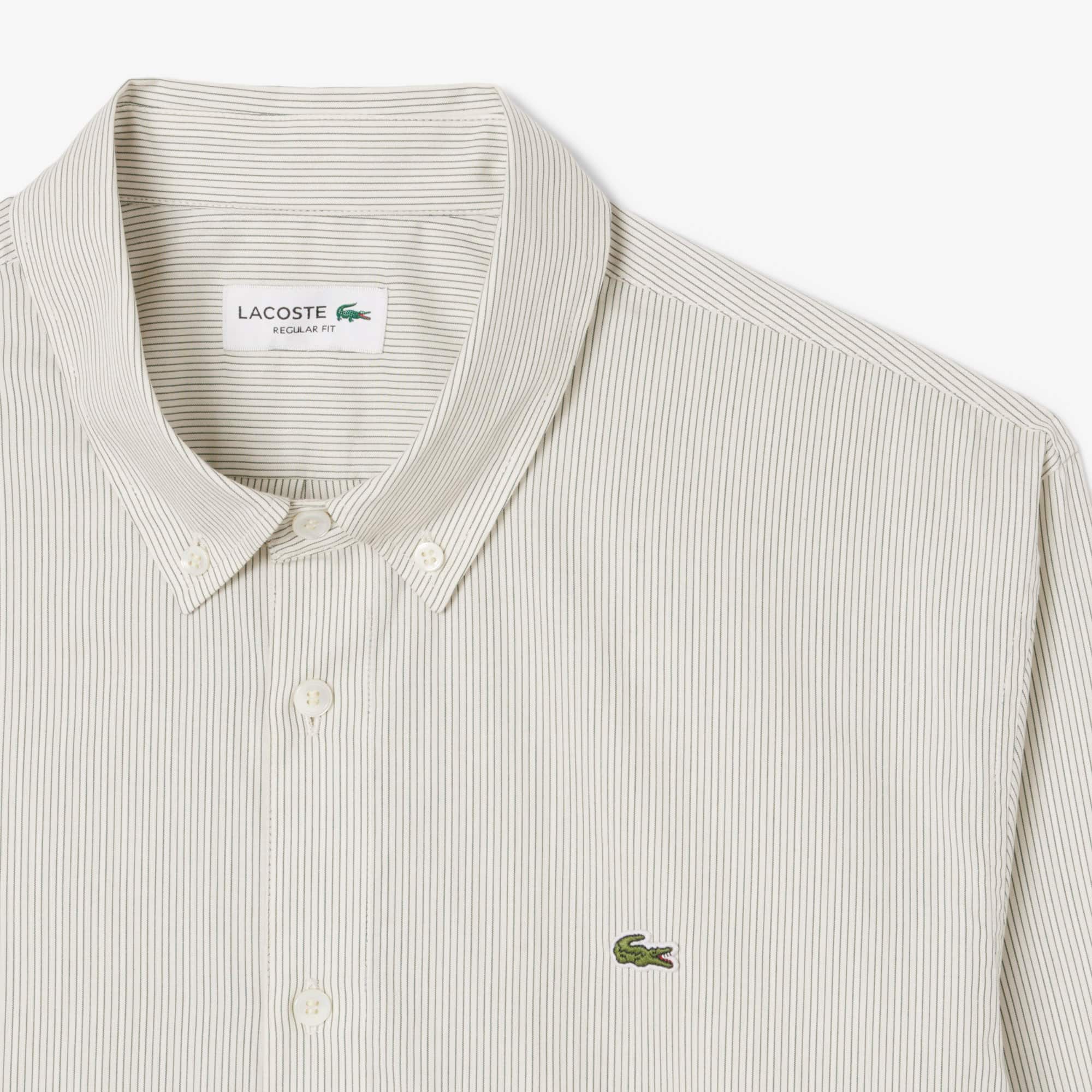 Men's Regular Fit Striped Button Down Shirt