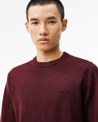 Men's Merino Wool Crew Neck Sweater