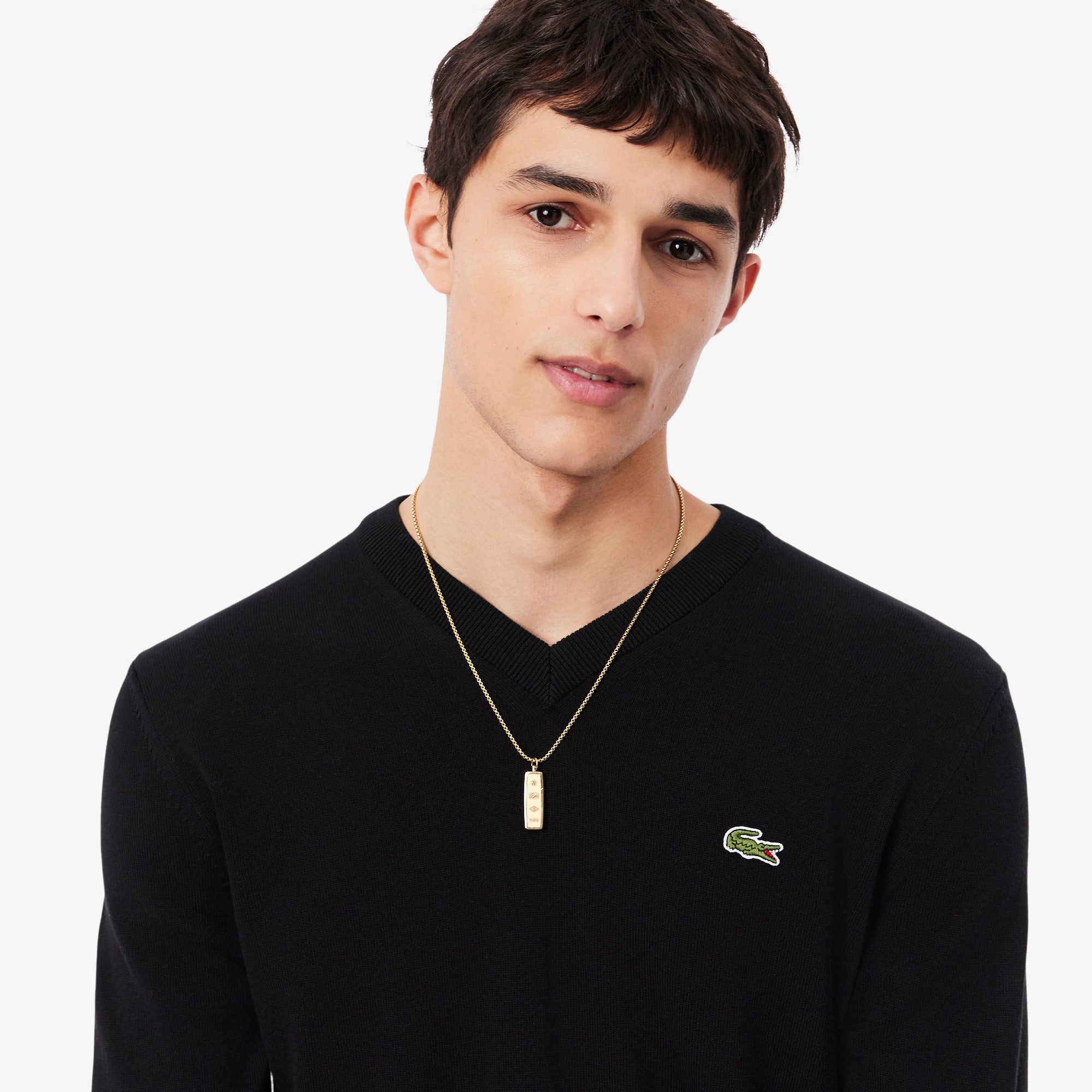 Men's Cotton V-Neck Sweater - Sweaters & Sweatshirts - New In 2026