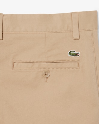 Regular Fit Cotton Chino Pants