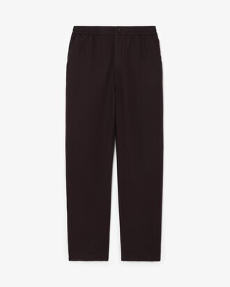 Regular Fit Linen Chino Pants
