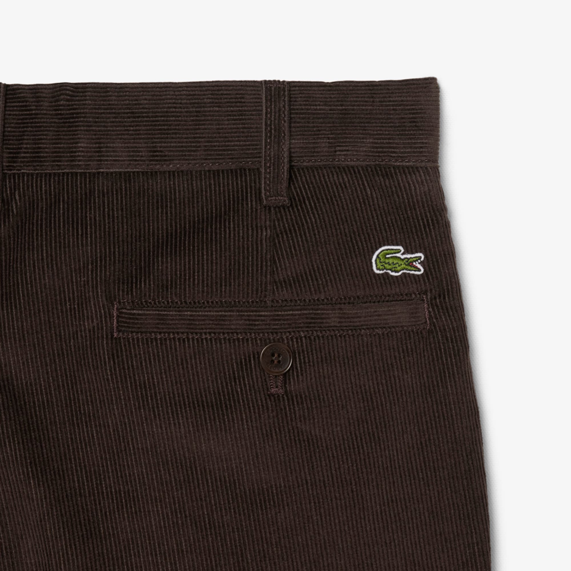 Men's Regular Fit Corduroy Chino Pants - Pants & Sweatpants - New