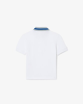 Stripe Collar Petit Piqu&eacute; Polo Shirt