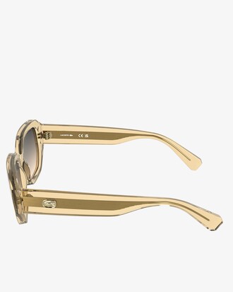 Icons Acetate Rectangle Glasses