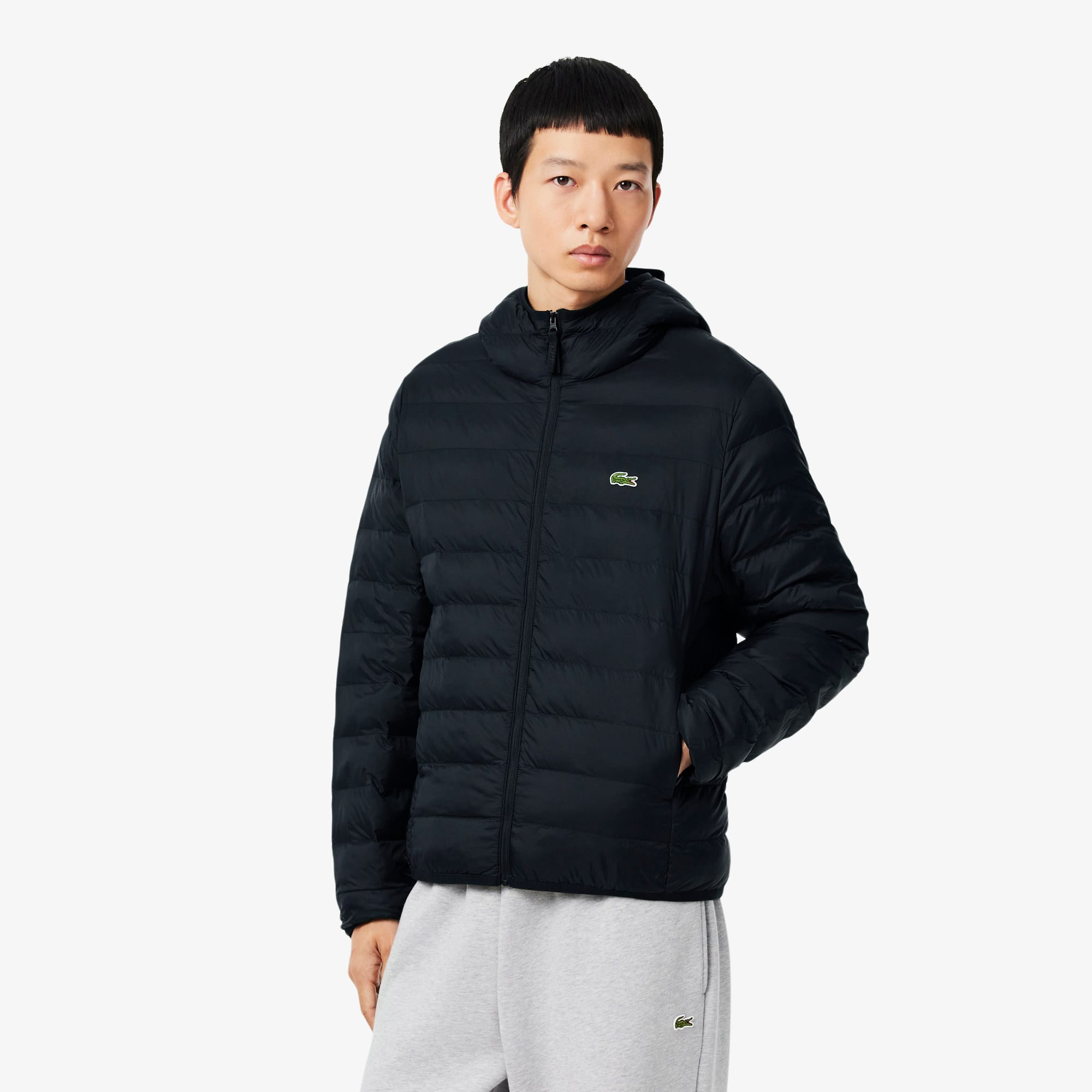 Water-Repellent Down Windbreaker