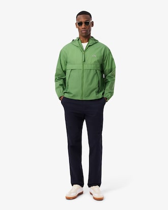 Regular Fit Cotton Chino Pants