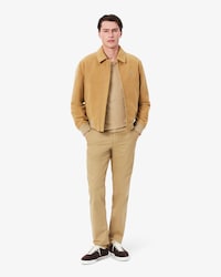 Men's Regular Fit Cotton Chino Pants