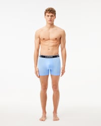 Men's Cotton Jersey Boxer Briefs 3-Pack