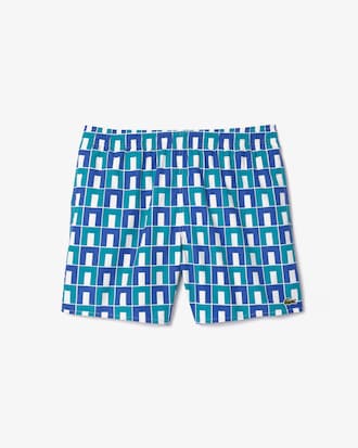 Men's Graphic Print Swim Trunks