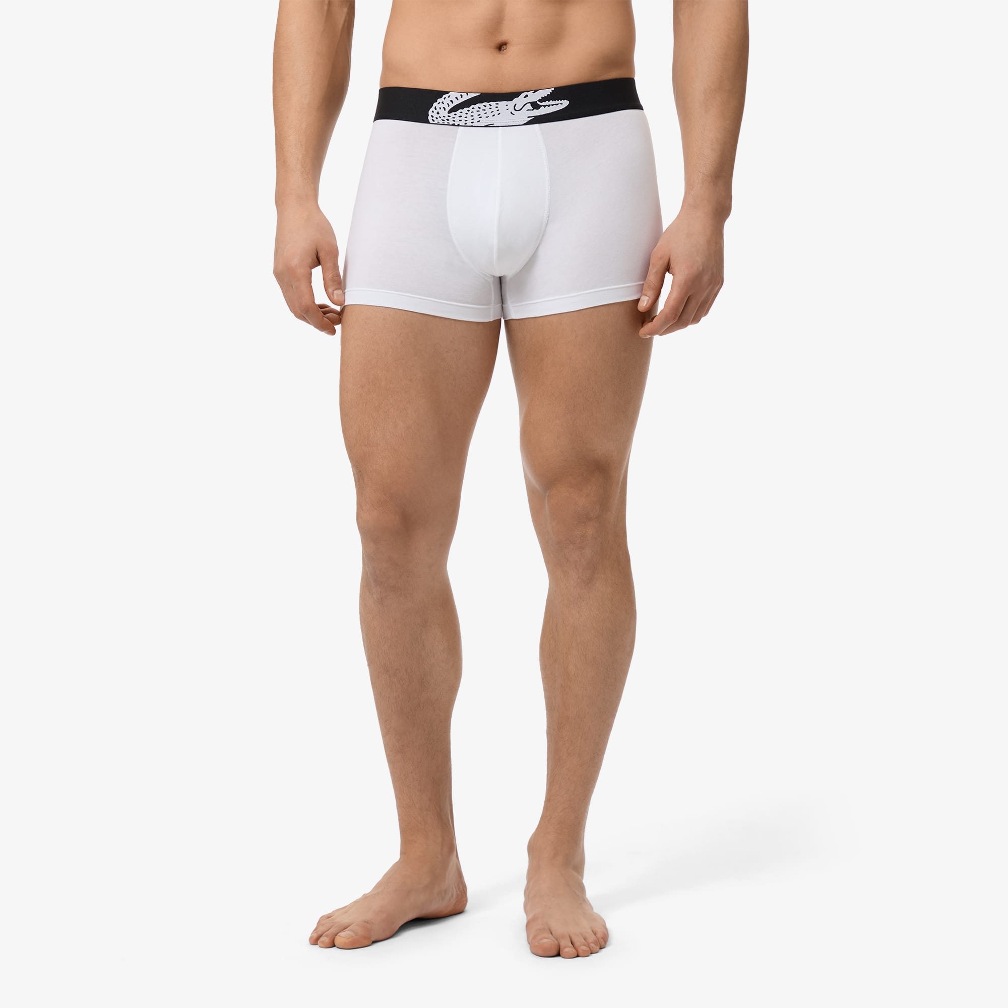 3-Pack Stretch Cotton Trunks