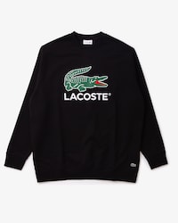 Printed Sweatshirt - Plus Size - Big