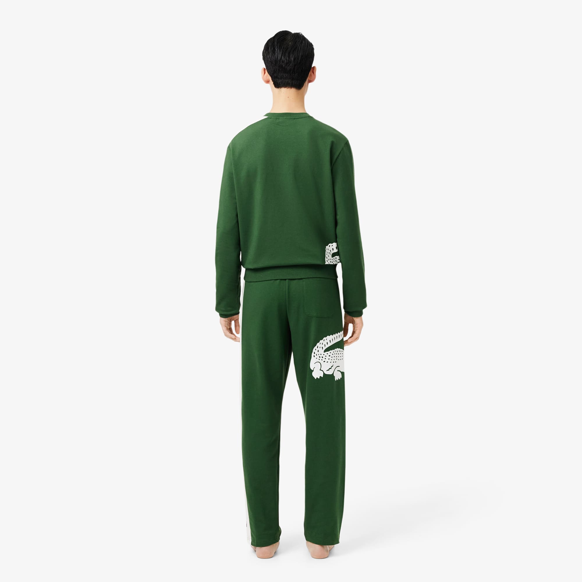 LACOSTE グリーン ジャージ US Sサイズ Kids' Lacoste Tennis x Daniil Medvedev Sweatsuit - Baby & Kids