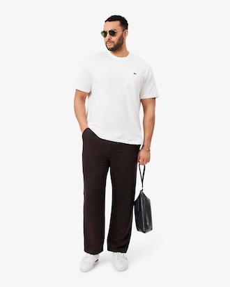 Regular Fit Linen Chino Pants