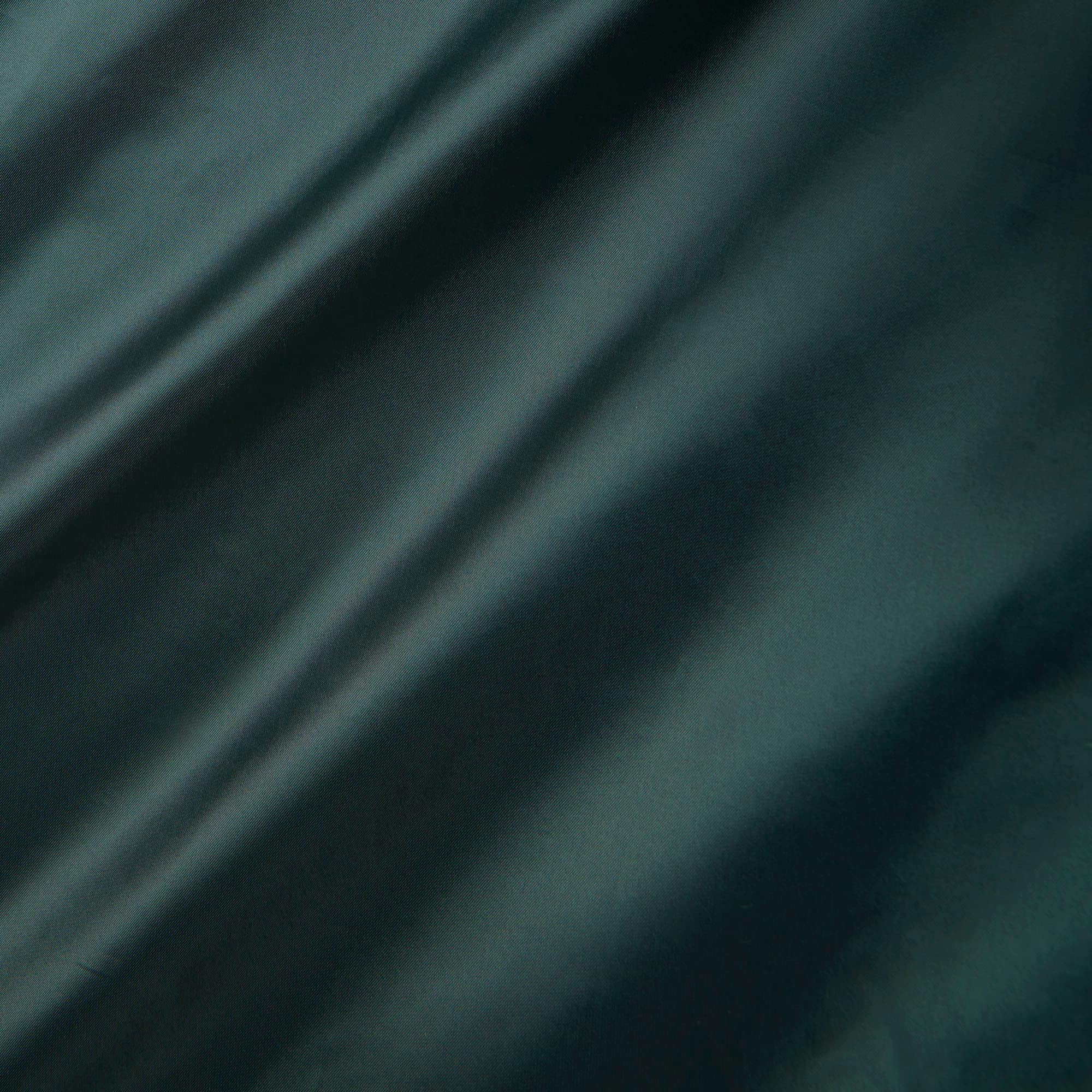 Runway Long Iridescent Puffed Jacket