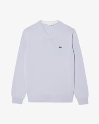 Men's Cotton V-Neck Sweater