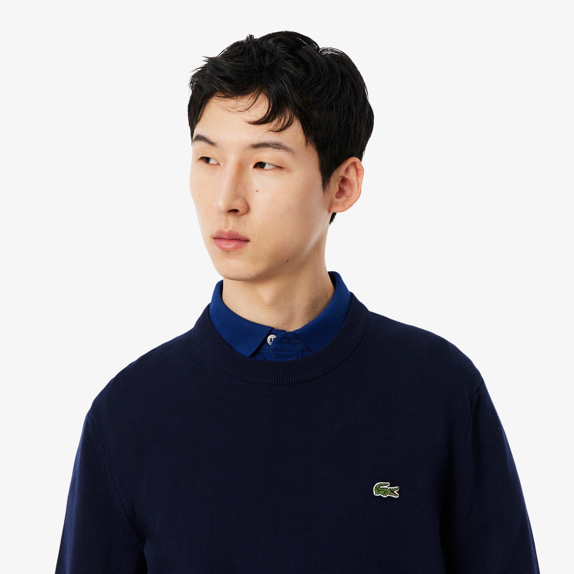Men's Crew Neck Cotton Sweater - Sweaters & Sweatshirts - New In