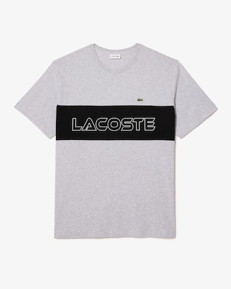 Men's Big Fit Colorblock Jersey T-Shirt
