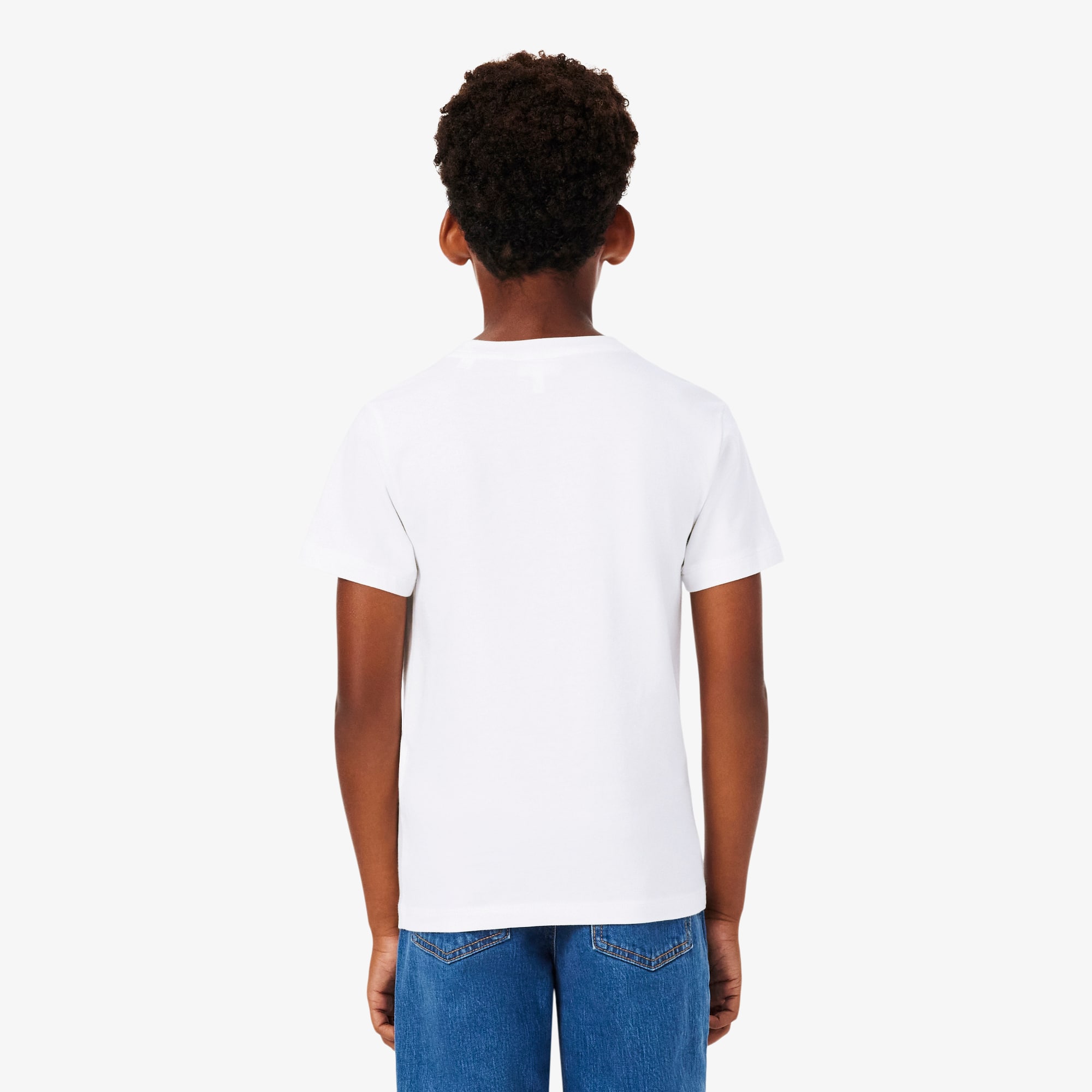 Embroidered Cotton T-Shirt - T-Shirts & Tops - New In 2026 | Lacoste