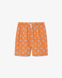 Monochromatic Swim Trunks