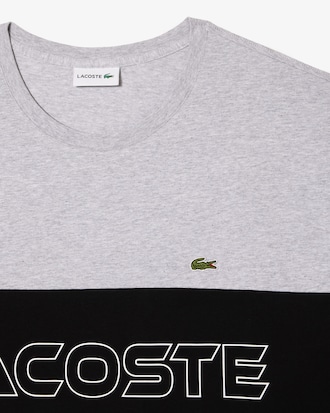 Men's Big Fit Colorblock Jersey T-Shirt