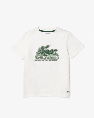 Playera para ni&ntilde;o en algod&oacute;n ecol&oacute;gico con estampado a contraste