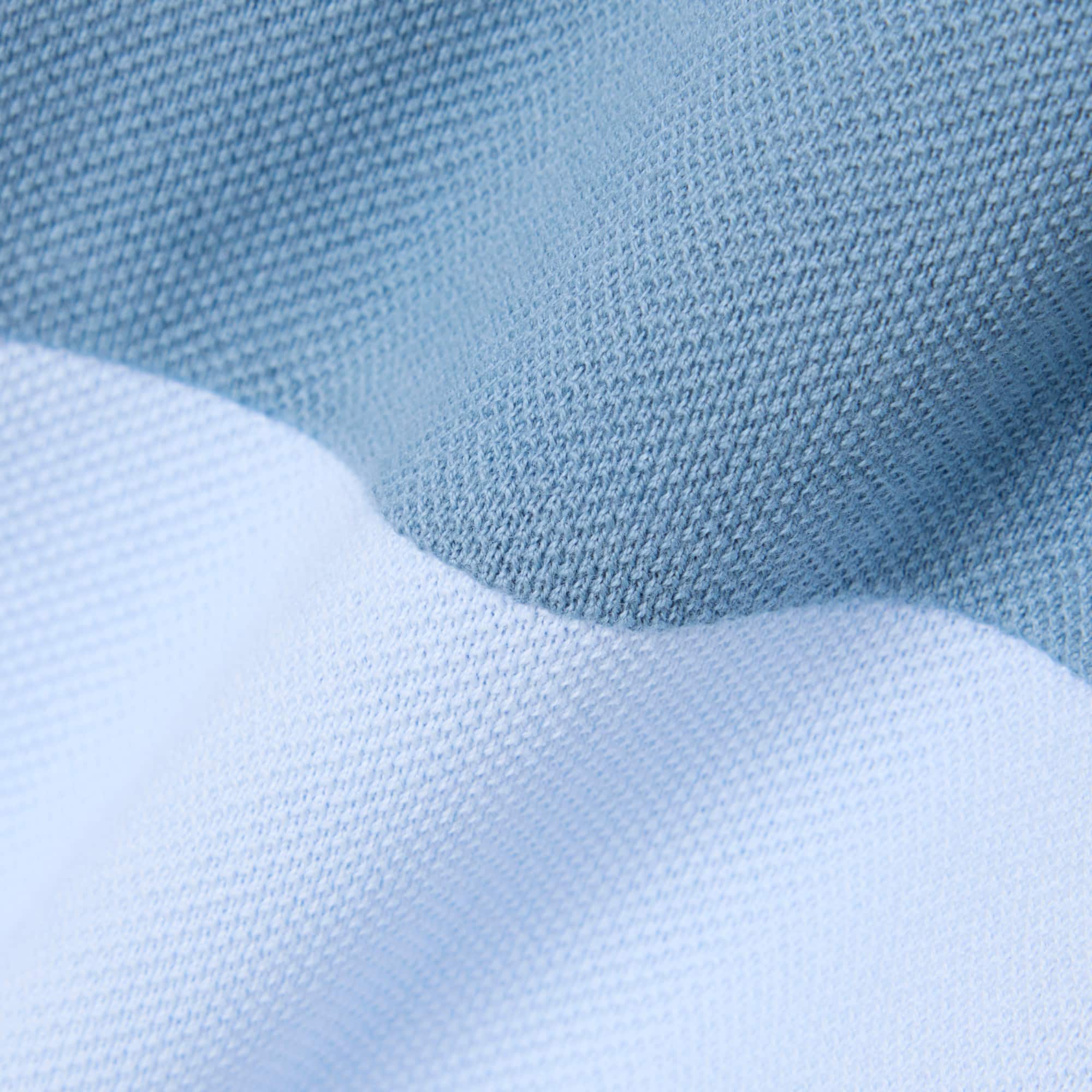 Contrast Band Petit Piqué Polo Shirt