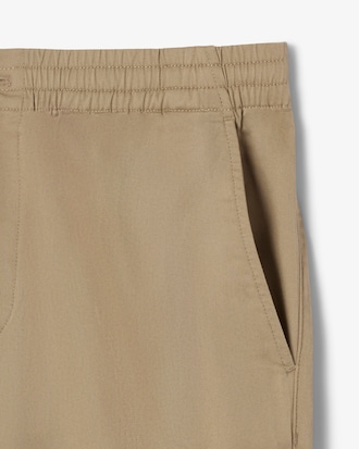 Men's Regular Fit Cotton Chino Pants