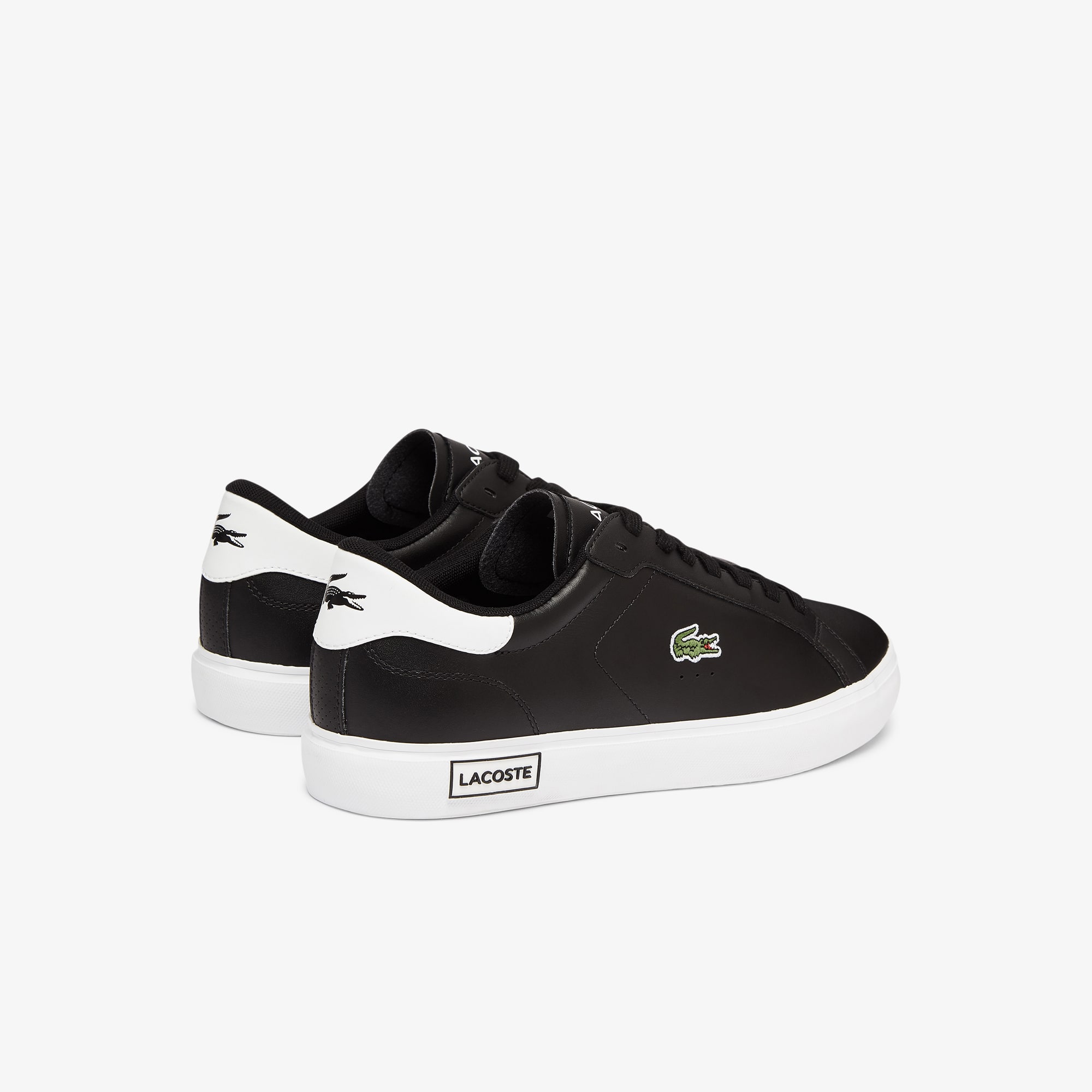 lacoste mens sneakers