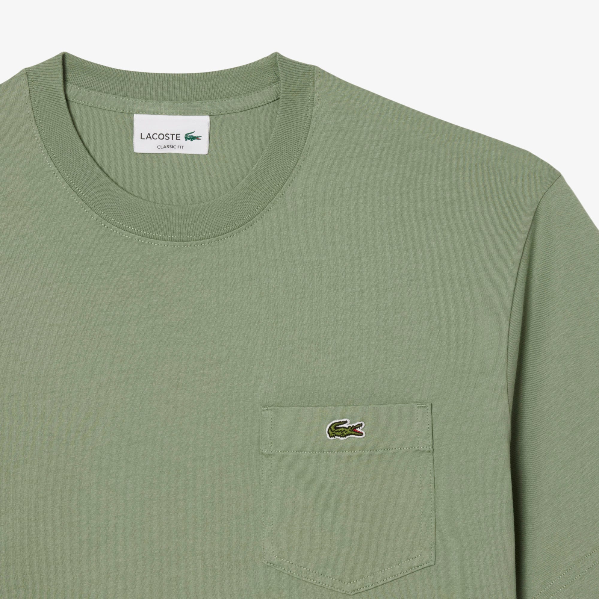 Men's Cotton T-Shirt - T-shirts - New In 2025 | Lacoste