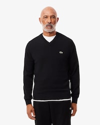 Men's Cotton V-Neck Sweater