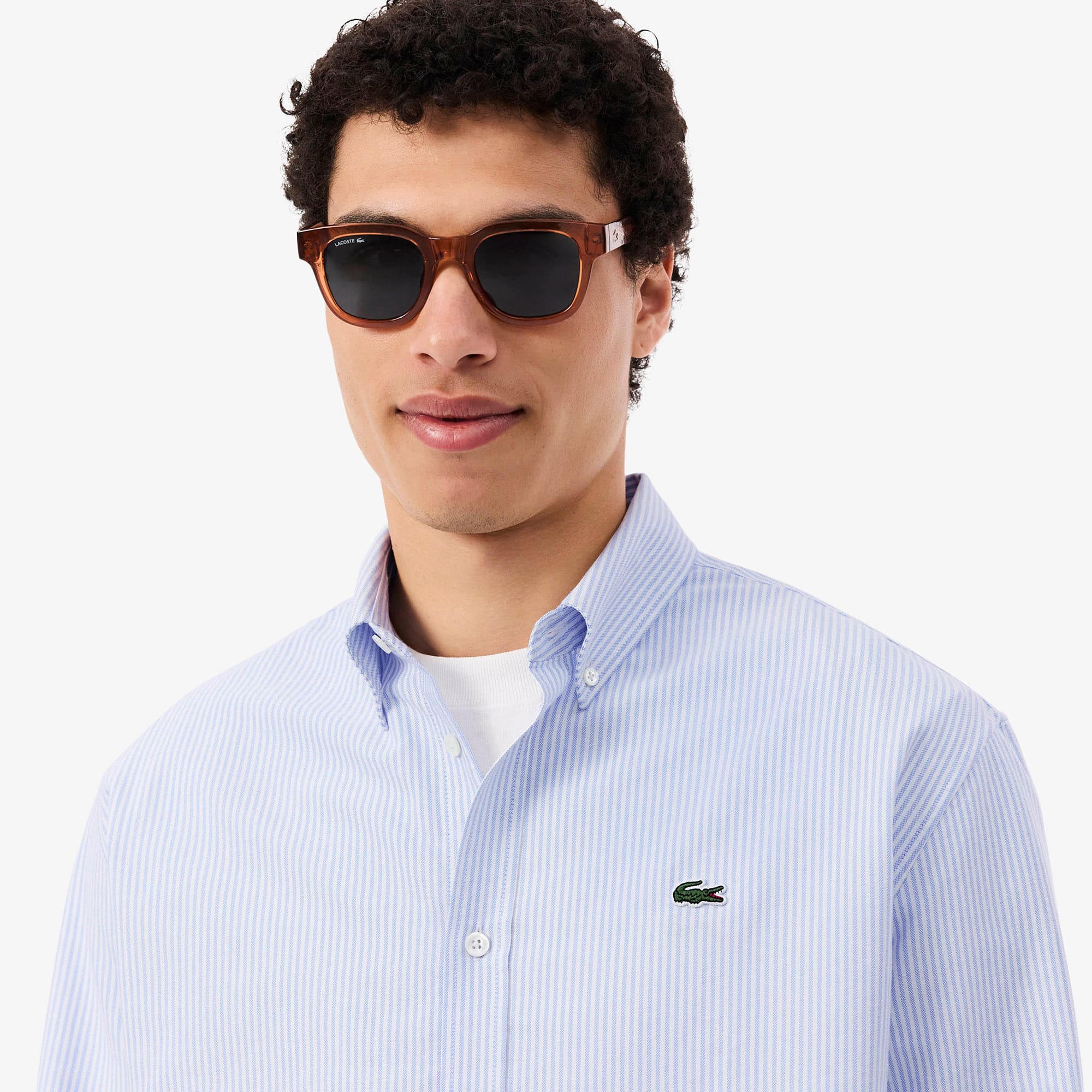 Regular Fit Striped Oxford Shirt