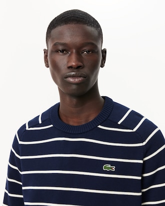Men's Striped 3D Knit Cotton Crew Neck Sweater 