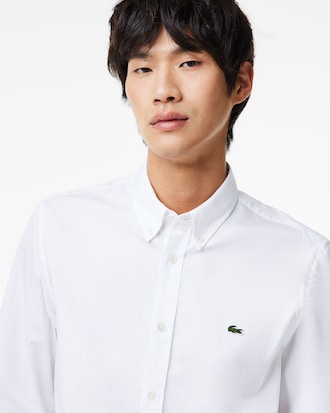 Men's Regular Fit Cotton Shirt
