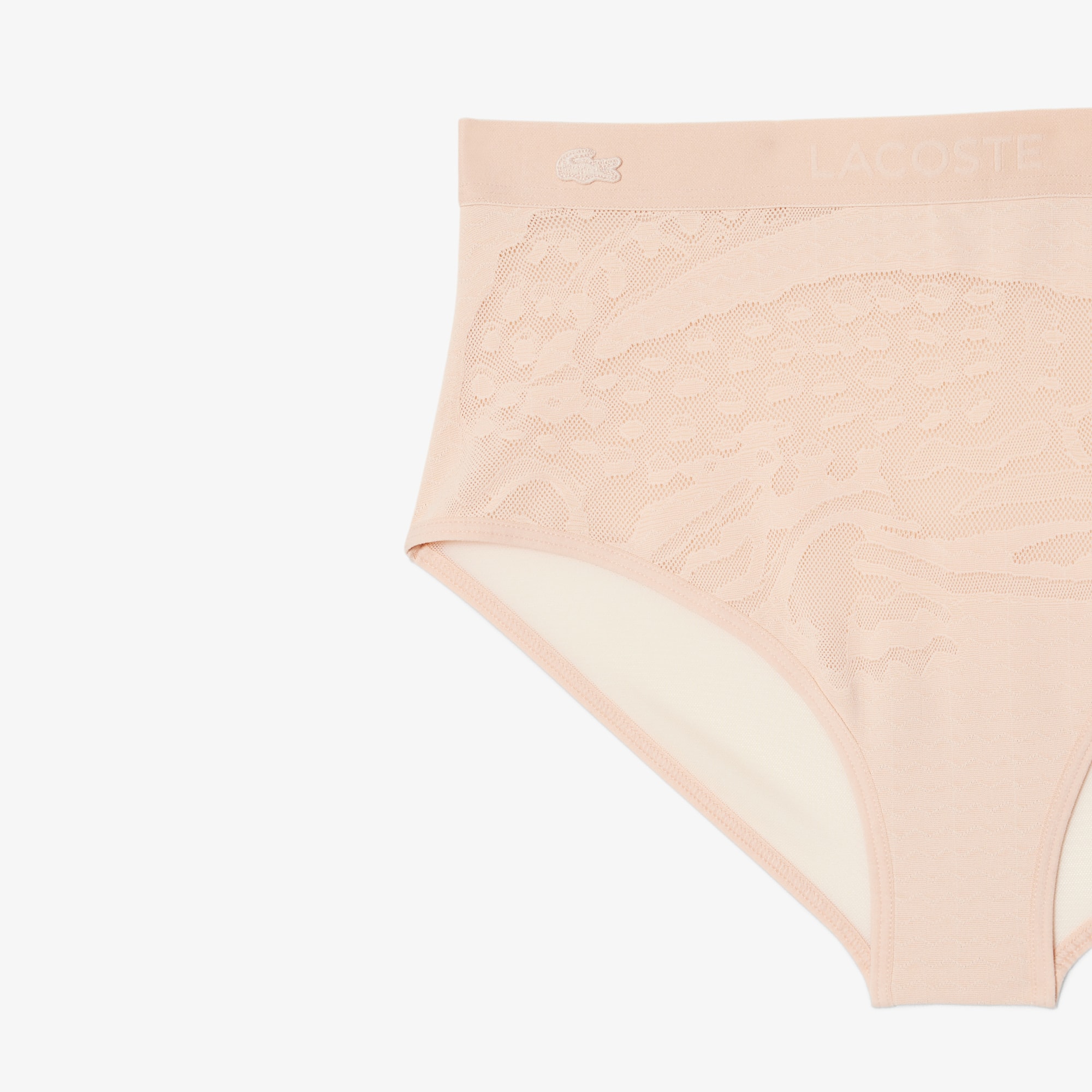 High Waist Mesh Briefs