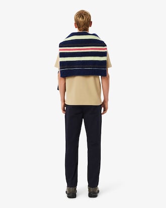 Men's Regular Fit Cotton Chino Pants