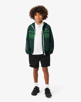 Branded Stripe Cotton Pima Polo Shirt