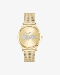 Crocodelle Steel Watch