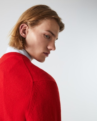 Su&eacute;ter de lana con Cuello en V para hombre