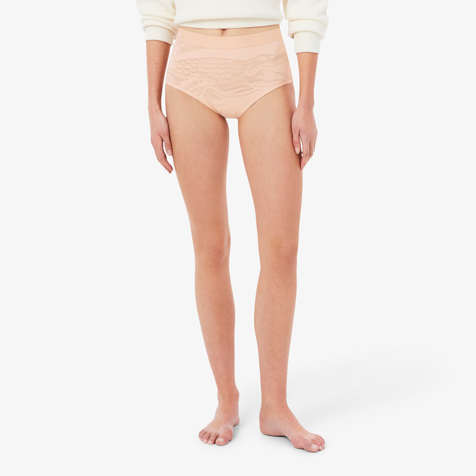 High Waist Mesh Briefs