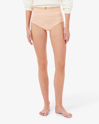 High Waist Mesh Briefs