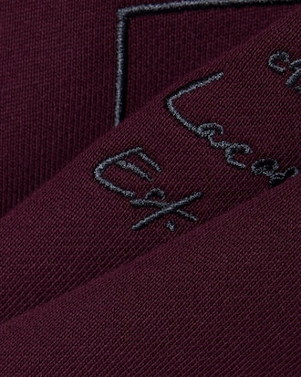 Sudadera con Gorro de Felpa Estampada