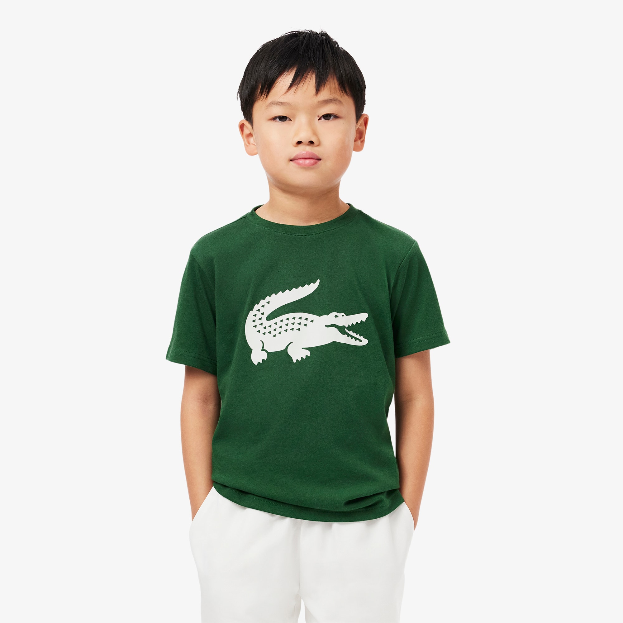 送料込★LACOSTE★TH9910 Tシャツ ラコステ LACOSTE メンズ アウトラインクロッククルーネックT