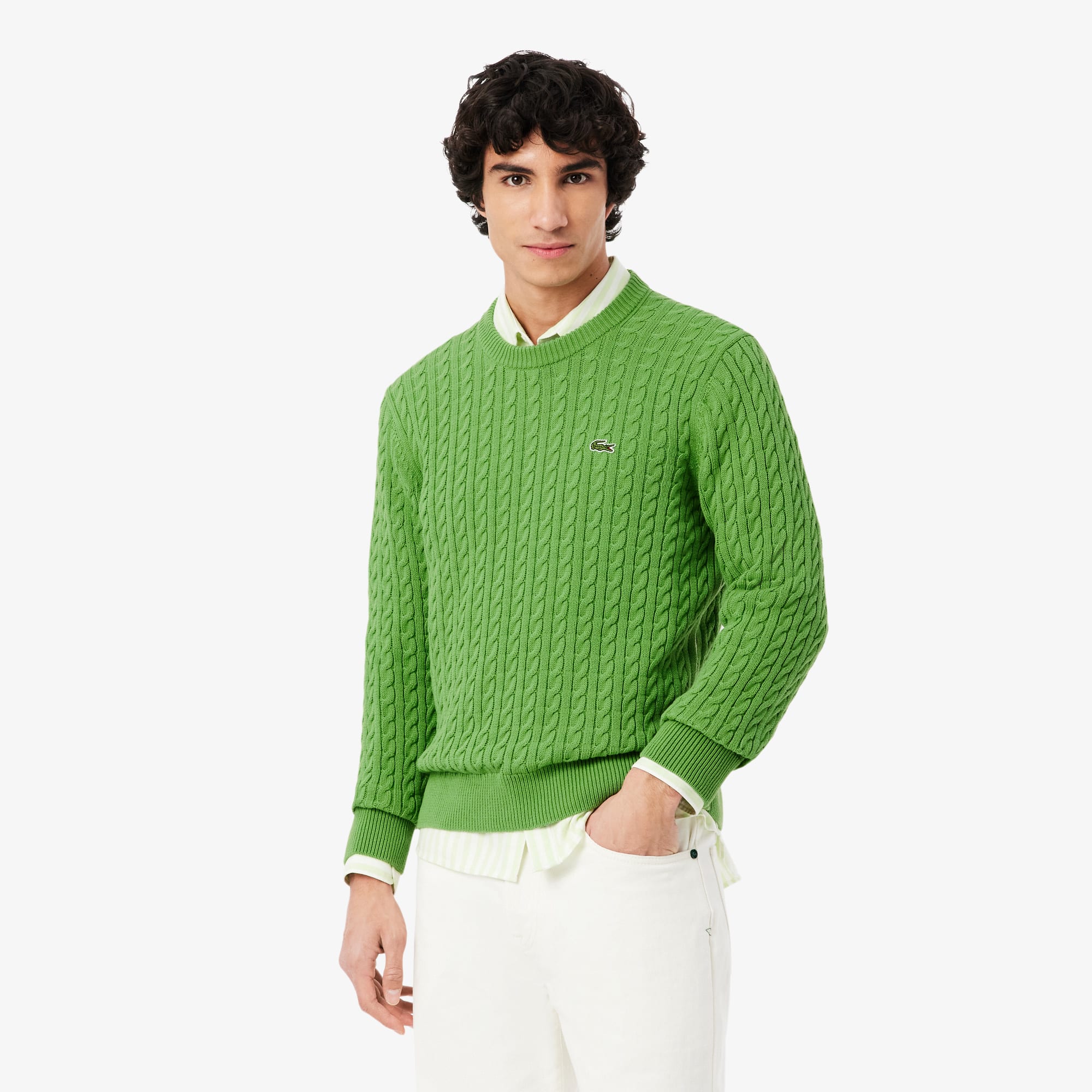 Men's Cable Knit Cotton Sweater - Sweaters & Sweatshirts - New In