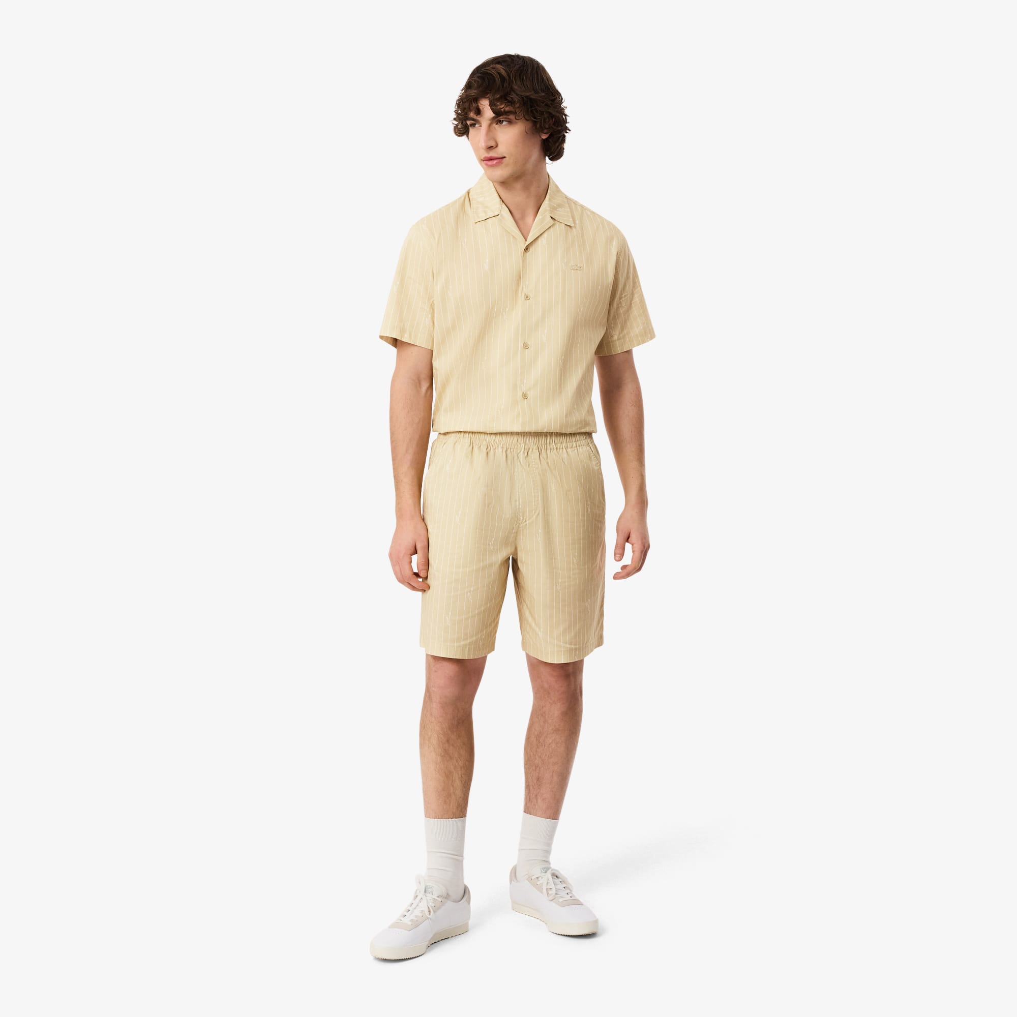 Lacoste Crocodile Print Stripe Cotton Shorts