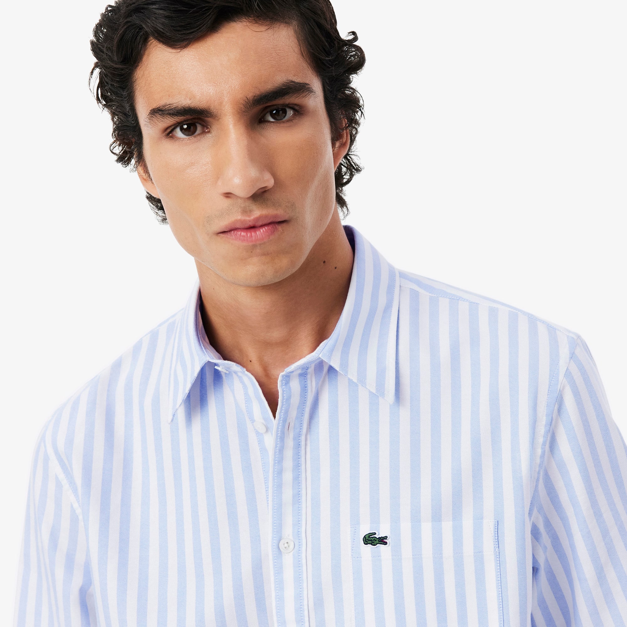 Men's Regular Fit Striped Oxford Shirt
