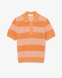 Striped Mesh Knit Polo Collar Sweater