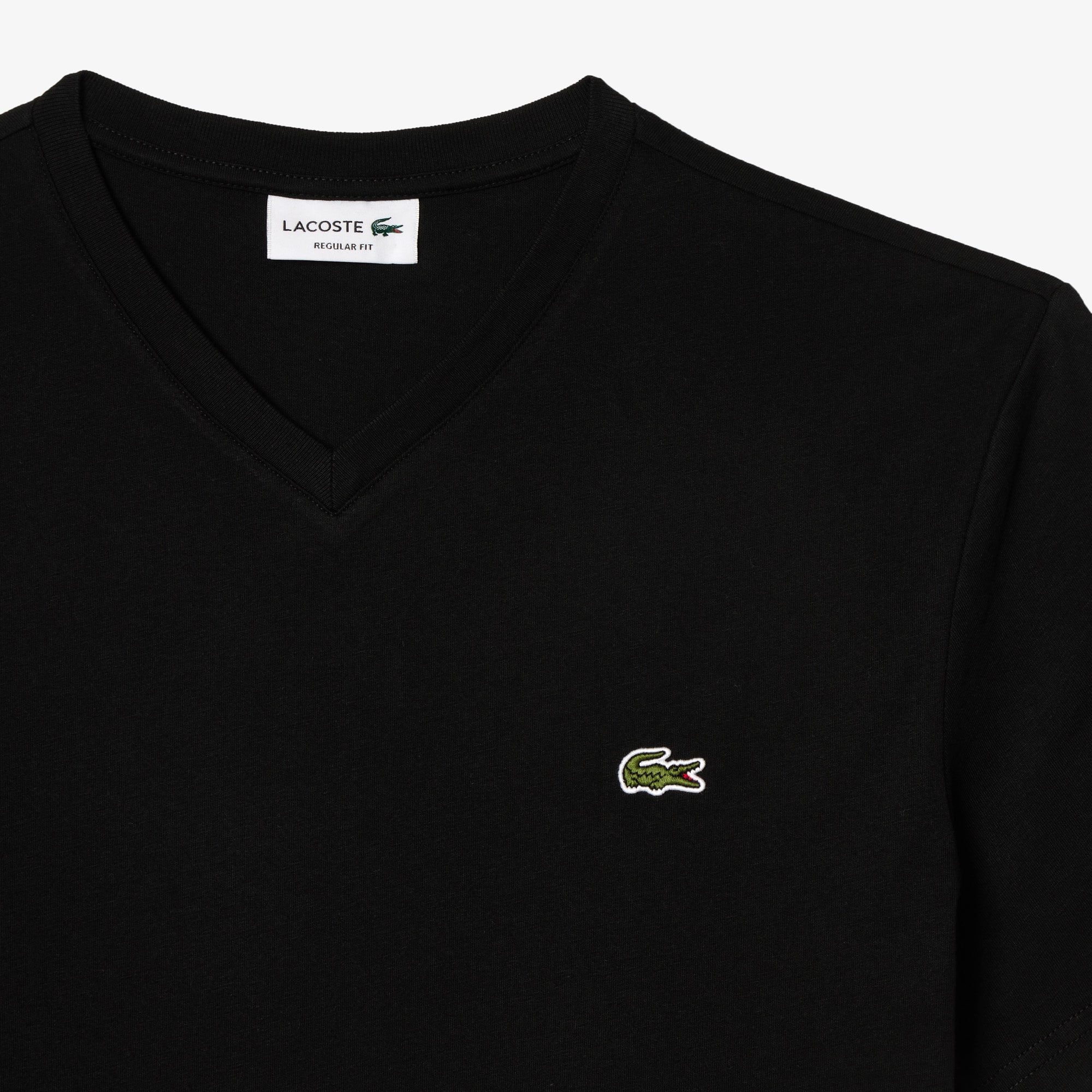 Men's V-Neck Cotton T-Shirt
