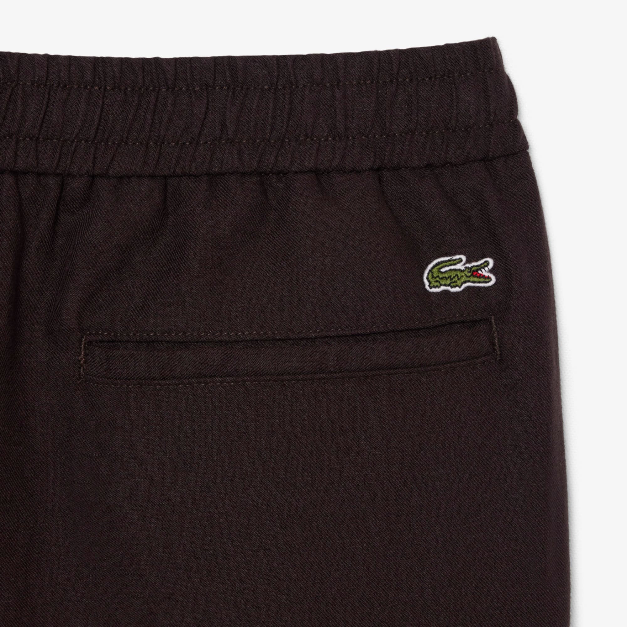 Regular Fit Linen Chino Pants