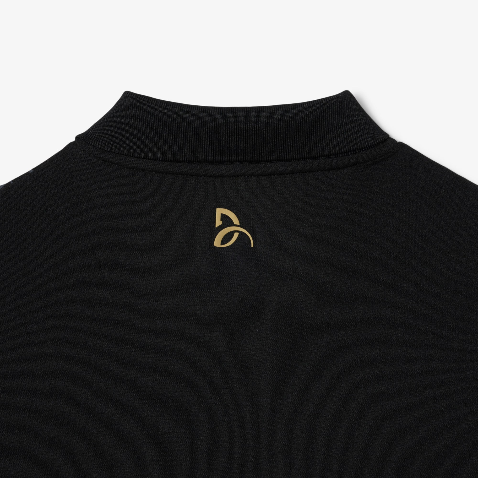 Men's Lacoste Tennis x Novak Djokovic Polo - Lacoste x Novak